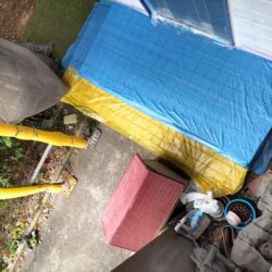 ワンちゃんを定位置に戻すために！