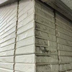 こんなに色が違うなんて驚き！