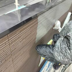 こんなに色が違うなんて驚き！